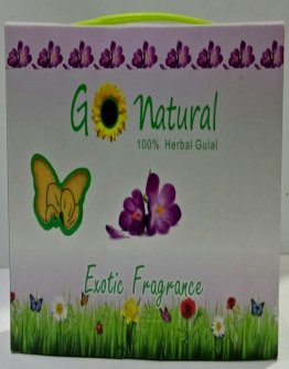 Go-Natural 100g Briefcase Pack